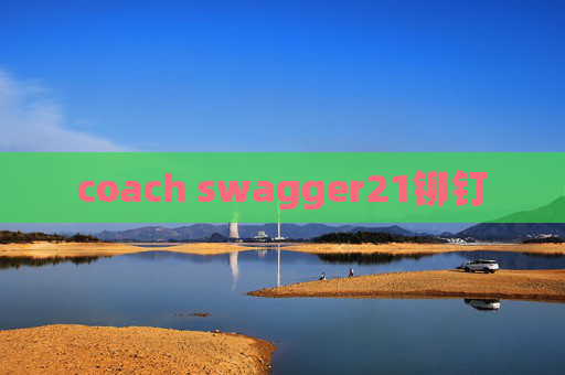coach swagger21铆钉